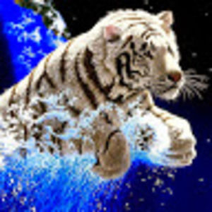 Meet your Posher, Lauralene